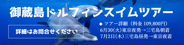 御蔵島ドルフィンスイムツアー