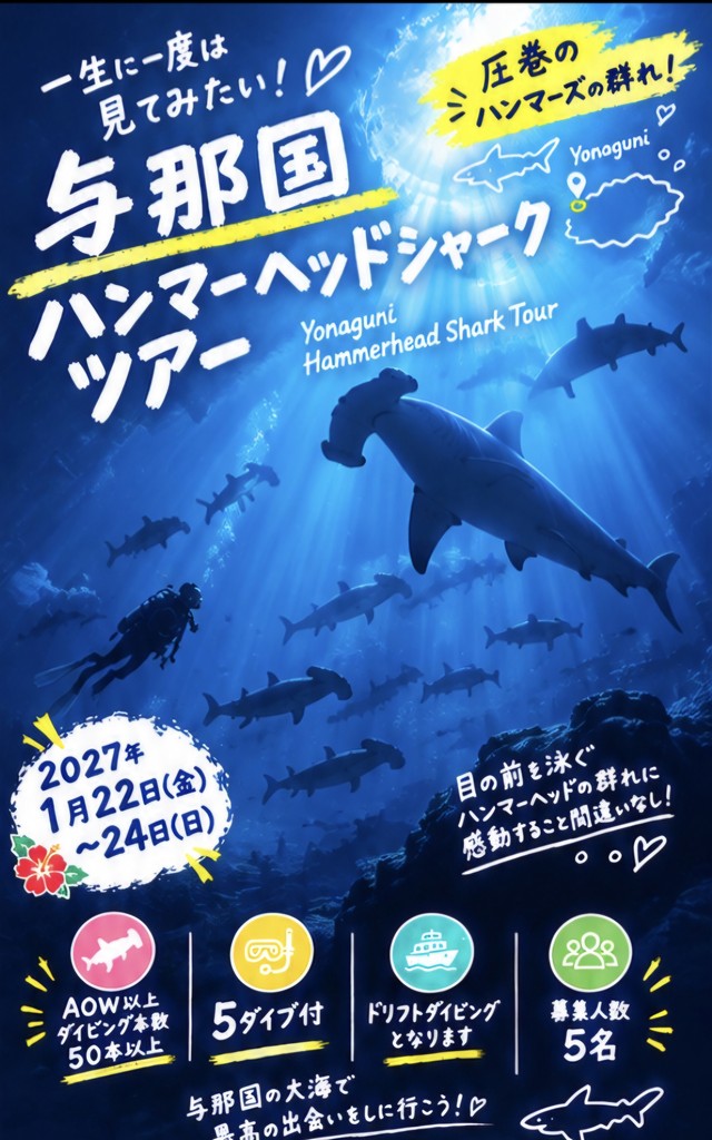 与那国ハンマーヘッドシャークツアー