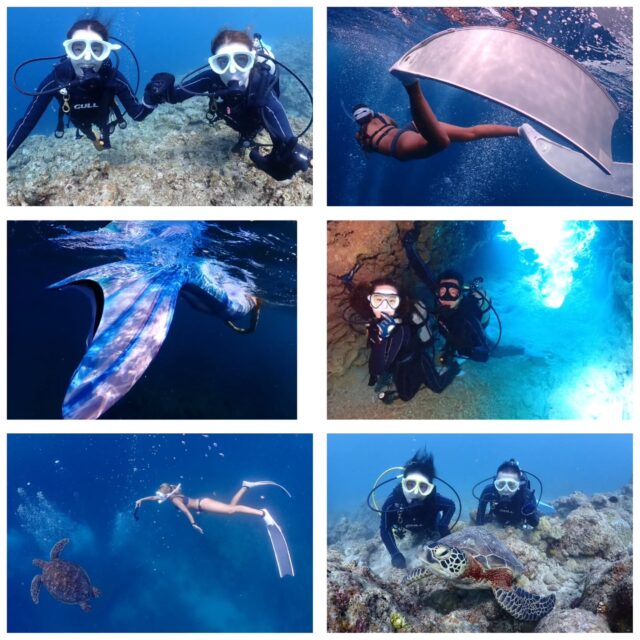 約10日振りに太陽が出た石垣島でした😳
毎日強い北風で急に寒くなり、連日の雨と強風で海の濁りもなかなか無くなりません😣
明日から11月！
10月のご参加もたくさんありがとうございました🎵
ツアー中に撮ったお写真は、LINEにて無料でお渡ししています☺️  最高気温　28.6度
最低気温　24.4度
水　　温　27.2度
➖➖➖➖➖➖➖➖➖
2026年2月10～13日
奄美大島ホエールスイムツアー参加者募集中🐋
ダイビングライセンス保持者、ほしくはスキンダイビングライセンス保持者
※スキンダイビングライセンスをお持ちでなくても、海に慣れている方なら参加OK！
座席2名です！
➖➖➖➖➖➖➖➖➖➖
各ツアー料金
半日ツアー9,000円～
1日ツアー14,000円～
詳しくはHPからご確認お願い致します
ダイビングライセンス取得コースも開催しています
➖➖➖➖➖➖➖➖➖➖➖
お電話でもDMでも、お気軽にご連絡下さいね
📱080-2622-1237
ラインID
📱824343
ご参加、お待ちしています！
➖➖➖➖➖➖➖➖➖➖
#沖縄
#旅行
#旅女
#マンタ
#幻の島
#石垣島
#okinawa_holic
#女子旅
#海が好き
#タビジョ
#okinawapress
#家族旅行
#jalan_asobi
#okinawaholic
#leaderfins
#石垣島観光
#石垣島旅行
#沖縄グラム
#padiライフ
#おきなわ気分
#体験ダイビング
#スキンダイビング
#石垣島ダイビング
#石垣体験ダイビング
#石垣島シュノーケル
#石垣島体験ダイビング
#石垣島スキンダイビング
#リーダーフィン
#ishigakijima
#okinawapress