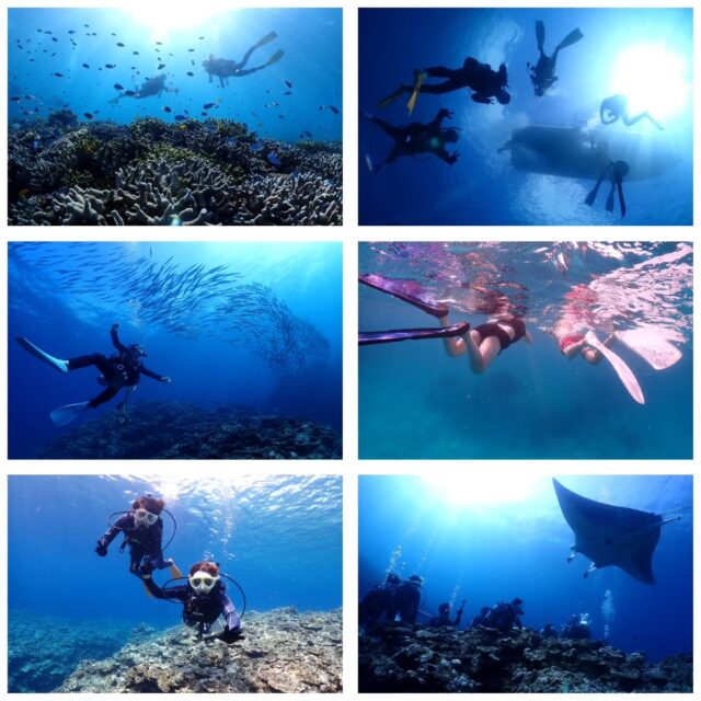 今日も晴れ間が出た石垣島でした😄
水温も少し下がってきましたが、水中はまだまだ快適です！
今日のダイビングポイント
1本目　黒島ツインロック
2本目　黒島仲本ケーブ(VⅡ)
3本目　宮良カメ根  1.2日は石垣島祭り！
20時45分から花火も上がりますよ🎵  ツアー中に撮ったお写真は、LINEにて無料でお渡ししています☺️  最高気温　28.1度
最低気温　23.8度
水　　温　27.2度
➖➖➖➖➖➖➖➖➖
2026年2月10～13日
奄美大島ホエールスイムツアー参加者募集中🐋
ダイビングライセンス保持者、ほしくはスキンダイビングライセンス保持者
※スキンダイビングライセンスをお持ちでなくても、海に慣れている方なら参加OK！
座席2名です！
➖➖➖➖➖➖➖➖➖➖
各ツアー料金
半日ツアー9,000円～
1日ツアー14,000円～
詳しくはHPからご確認お願い致します
ダイビングライセンス取得コースも開催しています
➖➖➖➖➖➖➖➖➖➖➖
お電話でもDMでも、お気軽にご連絡下さいね
📱080-2622-1237
ラインID
📱824343
ご参加、お待ちしています！
➖➖➖➖➖➖➖➖➖➖
#沖縄
#旅行
#旅女
#マンタ
#幻の島
#石垣島
#okinawa_holic
#女子旅
#海が好き
#タビジョ
#okinawapress
#家族旅行
#jalan_asobi
#okinawaholic
#leaderfins
#石垣島観光
#石垣島旅行
#沖縄グラム
#padiライフ
#おきなわ気分
#体験ダイビング
#スキンダイビング
#石垣島ダイビング
#石垣体験ダイビング
#石垣島シュノーケル
#石垣島体験ダイビング
#石垣島スキンダイビング
#リーダーフィン
#ishigakijima
#okinawapress