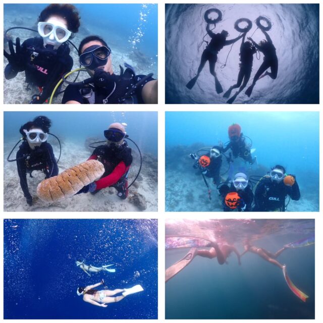 今日は朝から雨が降ったり曇ったり晴れたり強風が吹いたりと忙しい1日となりました😣
晴れ間が出たら半袖でもみ汗ばむくらい暑い石垣島ですよ😄
今日の海遊びポイント
1本目　大崎タートルガーデン
2本目　大崎アカククリの館
3本目　名蔵ロコロック  ツアー中に撮ったお写真は、LINEにて無料でお渡ししています☺️  最高気温　28.7度
最低気温　22.4度
水　　温　27.0度
➖➖➖➖➖➖➖➖➖
2026年2月10～13日
奄美大島ホエールスイムツアー参加者募集中🐋
ダイビングライセンス保持者、ほしくはスキンダイビングライセンス保持者
※スキンダイビングライセンスをお持ちでなくても、海に慣れている方なら参加OK！
座席『1名』です！
➖➖➖➖➖➖➖➖➖➖
各ツアー料金
半日ツアー9,000円～
1日ツアー14,000円～
詳しくはHPからご確認お願い致します
ダイビングライセンス取得コースも開催しています
➖➖➖➖➖➖➖➖➖➖➖
お電話でもDMでも、お気軽にご連絡下さいね
📱080-2622-1237
ラインID
📱824343
ご参加、お待ちしています！
➖➖➖➖➖➖➖➖➖➖
#沖縄
#旅行
#旅女
#マンタ
#幻の島
#石垣島
#okinawa_holic
#女子旅
#海が好き
#タビジョ
#okinawapress
#家族旅行
#jalan_asobi
#okinawaholic
#leaderfins
#石垣島観光
#石垣島旅行
#沖縄グラム
#padiライフ
#おきなわ気分
#体験ダイビング
#スキンダイビング
#石垣島ダイビング
#石垣体験ダイビング
#石垣島シュノーケル
#石垣島体験ダイビング
#石垣島スキンダイビング
#リーダーフィン
#ishigakijima
#okinawapress