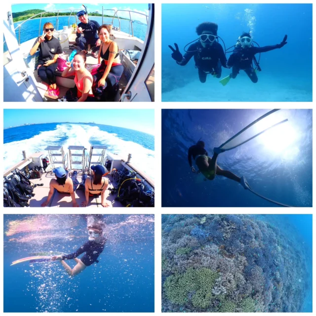 リピーターさん、ご紹介のゲストさん、Threadsからのご予約、旅行会社さんからのご予約と色んなところから参加して頂けて嬉しい限りです🙏
明日からまた天気が崩れますが、まだまだ毎日出港予定ですよ😁
今日の海遊びポイント⛴️
1本目　黒島ブルーシール
2本目　黒島カメドロップ
3本目　大崎タートルガーデン
4本目　名蔵ロコロック
ツアー中に撮ったお写真は、LINEにて無料でお渡ししています☺️  最高気温　29.1度
最低気温　22.5度
水　　温　26.8度
➖➖➖➖➖➖➖➖➖
2026年2月10～13日
奄美大島ホエールスイムツアー参加者募集中🐋
ダイビングライセンス保持者、ほしくはスキンダイビングライセンス保持者
※スキンダイビングライセンスをお持ちでなくても、海に慣れている方なら参加OK！
🈵️
➖➖➖➖➖➖➖➖➖➖
各ツアー料金
半日ツアー9,000円～
1日ツアー14,000円～
詳しくはHPからご確認お願い致します
ダイビングライセンス取得コースも開催しています
➖➖➖➖➖➖➖➖➖➖➖
お電話でもDMでも、お気軽にご連絡下さいね
📱080-2622-1237
ラインID
📱824343
ご参加、お待ちしています！
➖➖➖➖➖➖➖➖➖➖
#沖縄
#旅行
#旅女
#マンタ
#幻の島
#石垣島
#okinawa_holic
#女子旅
#海が好き
#タビジョ
#okinawapress
#家族旅行
#jalan_asobi
#okinawaholic
#leaderfins
#石垣島観光
#石垣島旅行
#沖縄グラム
#padiライフ
#おきなわ気分
#体験ダイビング
#スキンダイビング
#石垣島ダイビング
#石垣体験ダイビング
#石垣島シュノーケル
#石垣島体験ダイビング
#石垣島スキンダイビング
#リーダーフィン
#ishigakijima
#okinawapress