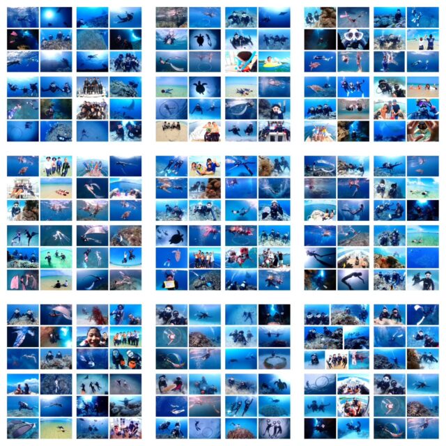 2025年ご参加頂いた皆様、ありがとうございました⭐
また2026年も『海遊びネジ』を宜しくお願い致します😋
➖➖➖➖➖➖➖➖➖
ダイビングライセンス取得応援キャンペーン 
PADIダイピングライセンスを取得して、 
ダイバーになろう！
通常料金 『55,000円』 →『44,000円』
オープンウォーター、 アドバンスの両方が適応です 是非この機会にダイバーになりましょう⭐
申込期間 『2025年12月1日~2026年2月28日』
海洋日時応相談
※GW、7月~9月、 お盆などの大型連休等は開催していません
➖➖➖➖➖➖➖➖➖
2026年2月10～13日
奄美大島ホエールスイムツアー参加者募集中🐋
ダイビングライセンス保持者、ほしくはスキンダイビングライセンス保持者
※スキンダイビングライセンスをお持ちでなくても、海に慣れている方なら参加OK！
🈵️
➖➖➖➖➖➖➖➖➖➖
各ツアー料金
半日ツアー9,000円～
1日ツアー14,000円～
詳しくはHPからご確認お願い致します
ダイビングライセンス取得コースも開催しています
➖➖➖➖➖➖➖➖➖➖➖
お電話でもDMでも、お気軽にご連絡下さいね
📱080-2622-1237
ラインID
📱824343
ご参加、お待ちしています！
➖➖➖➖➖➖➖➖➖➖