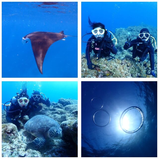 今日もマンタ目指して黒島へ⛴️
この日は少し濁っていましたが、水面マンタが色んなとこで見れました😋
天気も良よくて暖かかったし、マンタ&カメも見れた1日でした😄
初ダイビングで3ダイブもしちゃいましたね😉
今日の海遊びポイント⛴️
1本目　黒島ツインロック
2本目　黒島仲本ケーブ
3本目　黒島カメハウス
ツアー中に撮ったお写真は、LINEにて無料でお渡ししています☺️  最高気温　23.8度
最低気温　22.4度
水　　温　23.3度
➖➖➖➖➖➖➖➖➖
当店のオススメポイント
・不安を潰して楽しくお喋りしながらの講習⭐
・担当インストラクターがゆっくりじっくりサポート⭐
・なるべく1グループに1人スタッフが付く贅沢スタイル⭐
※安全上の場合によって変動あり
・他店より写真枚数が多い⭐
・参加者は初めての方、泳げない方ばかり⭐
・お互いに無理しない⭐(本当に1番大事)
➖➖➖➖➖➖➖➖➖
ダイビングライセンス取得応援キャンペーン 
PADIダイピングライセンスを取得して、 
ダイバーになろう！
通常料金 『55,000円』 →『44,000円』
オープンウォーター、 アドバンスの両方が適応です 是非この機会にダイバーになりましょう⭐
申込期間 『2025年12月1日~2026年2月28日』
海洋日時応相談
※GW、7月~9月、 お盆などの大型連休等は開催していません
➖➖➖➖➖➖➖➖➖
2026年2月10～13日
奄美大島ホエールスイムツアー参加者募集中🐋
ダイビングライセンス保持者、ほしくはスキンダイビングライセンス保持者
※スキンダイビングライセンスをお持ちでなくても、海に慣れている方なら参加OK！
🈵️
➖➖➖➖➖➖➖➖➖➖
各ツアー料金
半日ツアー9,000円～
1日ツアー14,000円～
詳しくはHPからご確認お願い致します
ダイビングライセンス取得コースも開催しています
➖➖➖➖➖➖➖➖➖➖➖
お電話でもDMでも、お気軽にご連絡下さいね
📱080-2622-1237
ラインID
📱824343
ご参加、お待ちしています！
➖➖➖➖➖➖➖➖➖➖
#沖縄
#旅行
#旅女
#マンタ
#幻の島
石垣島
okinawa_holic
女子旅
海が好き
タビジョ
okinawapress
家族旅行
jalan_asobi
okinawaholic
leaderfins
石垣島観光
石垣島旅行
沖縄グラム
padiライフ
おきなわ気分
体験ダイビング
スキンダイビング
石垣島ダイビング
石垣体験ダイビング
石垣島シュノーケル
石垣島体験ダイビング
石垣島スキンダイビング
リーダーフィン
ishigakijima
okinawapress
