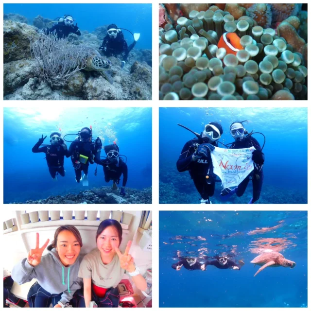 石垣島はもう夏ですよ🤩
昨日、繁華街付近で上裸で歩いてる方にぃにがいました😣
確かに3月なのに、夏らしい気候ですが節度を持ってくださいね🤣
石垣島のガソリンは今約『240円』です😭
明日も元気に出港😆  ツアー中に撮ったお写真は、LINEにて無料でお渡ししています☺️  最高気温　26.4度
最低気温　22.8度
水　　温　24.7度
➖➖➖➖➖➖➖➖➖
当店のオススメポイント
・不安を潰して楽しくお喋りしながらの講習⭐
・担当インストラクターがゆっくりじっくりサポート⭐
・なるべく1グループに1人スタッフが付く贅沢スタイル⭐
※安全上の場合によって変動あり
・他店より写真枚数が多い⭐
・参加者は初めての方、泳げない方ばかり⭐
・お互いに無理しない⭐(本当に1番大事)
➖➖➖➖➖➖➖➖➖
学生卒業旅行限定お得プラン
学生最後の旅行はお安くお得にご案内させていただきます😄
お問い合わせ、お待ちしています(^^)
もちろん、通常の学生割引もありますよ🎵
➖➖➖➖➖➖➖➖➖➖
お電話でもDMでも、お気軽にご連絡下さいね
📱080-2622-1237
ラインID
📱824343
ご参加、お待ちしています！
➖➖➖➖➖➖➖➖➖➖
#ウミガメ
#石垣島旅行
#石垣島
#マンタ
#卒業旅行
石垣島
okinawa_holic
女子旅
海が好き
タビジョ
okinawapress
家族旅行
jalan_asobi
okinawaholic
leaderfins
石垣島観光
石垣島旅行
沖縄グラム
padiライフ
おきなわ気分
体験ダイビング
スキンダイビング
石垣島ダイビング
石垣体験ダイビング
石垣島シュノーケル
石垣島体験ダイビング
石垣島スキンダイビング
リーダーフィン
ishigakijima
okinawapress