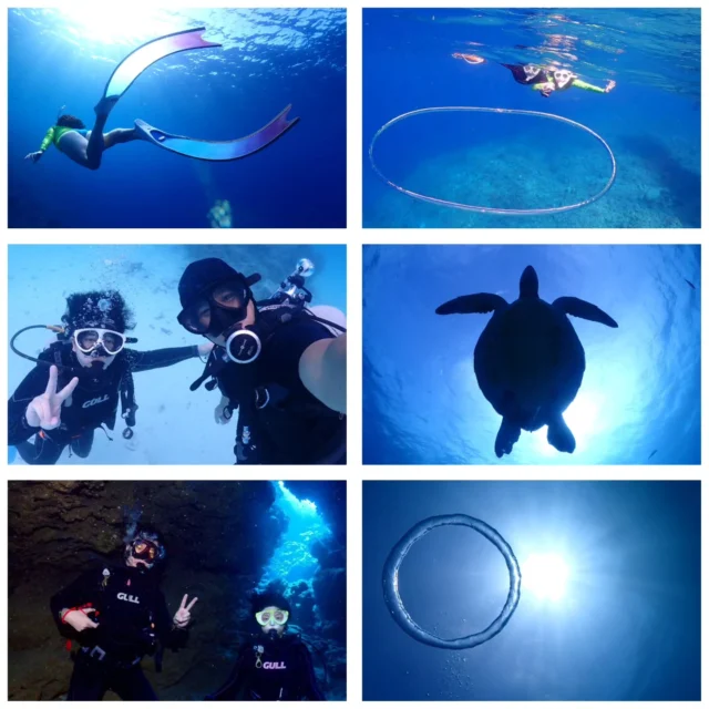 今日は1日天候が不安定な1日でした😢
雨が降ったり晴れたりの1日でしたが、1日体験3ダイブして各種クマノミ、ウミガメ、洞窟チックなポイントだったりと安全第一で潜って参りました😁
今日のマンタは外しましたが、石垣マンタダイビングリベンジだと思ってまた来てくださいね😋
水温も25度越えてきましたよ♪
ツアー中に撮ったお写真は、LINEにて無料でお渡ししています☺️  今日のダイビングポイント
大崎ハナゴイリーフ
マンタシティー
オープンハート  最高気温　25.8度
最低気温　21.6度
水　　温　25.1.度
➖➖➖➖➖➖➖➖➖
当店のオススメポイント
・不安を潰して楽しくお喋りしながらの講習⭐
・担当インストラクターがゆっくりじっくりサポート⭐
・なるべく1グループに1人スタッフが付く贅沢スタイル⭐
※安全上の場合によって変動あり
・他店より写真枚数が多い⭐
・参加者は初めての方、泳げない方ばかり⭐
・お互いに無理しない⭐(本当に1番大事)
➖➖➖➖➖➖➖➖➖
学生卒業旅行限定お得プラン
学生最後の旅行はお安くお得にご案内させていただきます😄
お問い合わせ、お待ちしています(^^)
もちろん、通常の学生割引もありますよ🎵
➖➖➖➖➖➖➖➖➖➖
お電話でもDMでも、お気軽にご連絡下さいね
📱080-2622-1237
ラインID
📱824343
ご参加、お待ちしています！
➖➖➖➖➖➖➖➖➖➖
#ウミガメ
#石垣島旅行
#石垣島
#マンタ
卒業旅行
#旅色
石垣島
okinawa_holic
女子旅
海が好き
タビジョ
okinawapress
家族旅行
jalan_asobi
okinawaholic
leaderfins
石垣島観光
石垣島旅行
沖縄グラム
padiライフ
おきなわ気分
体験ダイビング
スキンダイビング
石垣島ダイビング
石垣体験ダイビング
石垣島シュノーケル
石垣島体験ダイビング
石垣島スキンダイビング
リーダーフィン
ishigakijima
okinawapress