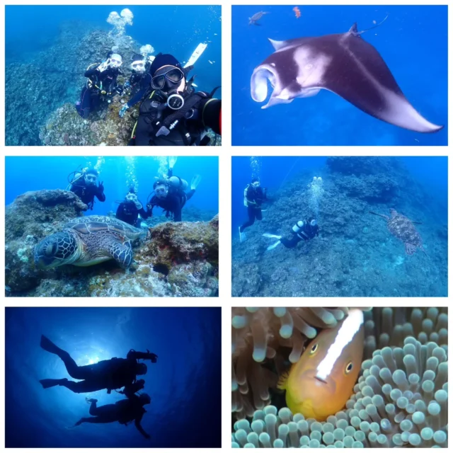 今日も真夏日の石垣島でした！
曇ったり、太陽が隠れたくらいが涼しくて過ごしやすい気候です☺️
今年は天気が安定してるから、台風も早いのかな？😓
その前にいっぱい遊びに来てくださいね！(笑)  ツアー中に撮ったお写真は、LINEにて無料でお渡ししています☺️  最高気温　27度
最低気温　23.2度
水　　温　24.7度
➖➖➖➖➖➖➖➖➖
当店のオススメポイント
・不安を潰して楽しくお喋りしながらの講習⭐
・担当インストラクターがゆっくりじっくりサポート⭐
・なるべく1グループに1人スタッフが付く贅沢スタイル⭐
※安全上の場合によって変動あり
・他店より写真枚数が多い⭐
・参加者は初めての方、泳げない方ばかり⭐
・お互いに無理しない⭐(本当に1番大事)
➖➖➖➖➖➖➖➖➖
学生卒業旅行限定お得プラン
学生最後の旅行はお安くお得にご案内させていただきます😄
お問い合わせ、お待ちしています(^^)
もちろん、通常の学生割引もありますよ🎵
➖➖➖➖➖➖➖➖➖➖
お電話でもDMでも、お気軽にご連絡下さいね
📱080-2622-1237
ラインID
📱824343
ご参加、お待ちしています！
➖➖➖➖➖➖➖➖➖➖
#ウミガメ
#石垣島旅行
#石垣島
#マンタ
卒業旅行
#旅色
石垣島
okinawa_holic
女子旅
海が好き
タビジョ
okinawapress
家族旅行
jalan_asobi
okinawaholic
leaderfins
石垣島観光
石垣島旅行
沖縄グラム
padiライフ
おきなわ気分
体験ダイビング
スキンダイビング
石垣島ダイビング
石垣体験ダイビング
石垣島シュノーケル
石垣島体験ダイビング
石垣島スキンダイビング
リーダーフィン
ishigakijima
okinawapress