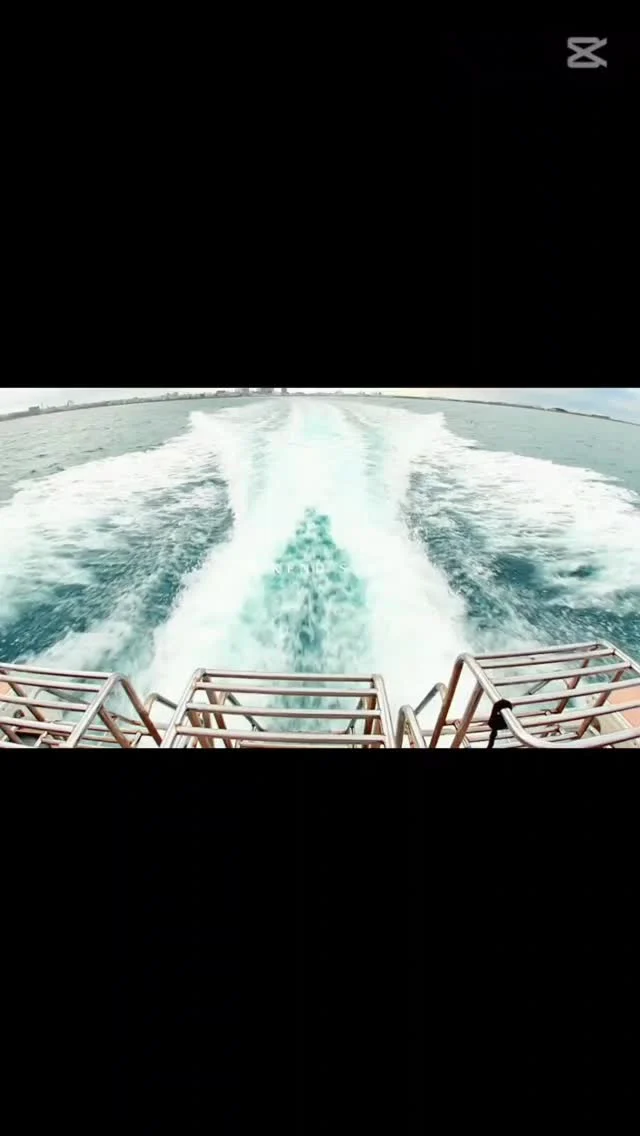 リピーターさんが、友達を連れて遊びに来てくれました♪
今回はスキンと体験ダイビング🤿
午前の『スキンダイビング』は初めての方ばかりでしたのでまずはシュノーケルからスタートしながら、シュノーケルクリアの練習、潜り方の練習をしてロングフィンまでデビューしちゃいましたね😁
体験ダイビングでは、まさかのネジチームだけNOマンタ😢
ライセンス持ちのファンダイビング、シュノーケルチームは見れたそうです🤣
気にせずまた遊びに来てくださいね(笑)  ツアー中に撮ったお写真は、LINEにて無料でお渡ししています☺️  最高気温　28.0度
最低気温　23.0度
水　　温　26.2度
➖➖➖➖➖➖➖➖➖
当店のオススメポイント
・不安を潰して楽しくお喋りしながらの講習⭐
・担当インストラクターがゆっくりじっくりサポート⭐
・なるべく1グループに1人スタッフが付く贅沢スタイル⭐
※安全上の場合によって変動あり
・他店より写真枚数が多い⭐
・参加者は初めての方、泳げない方ばかり⭐
・お互いに無理しない⭐(本当に1番大事)
➖➖➖➖➖➖➖➖➖
御蔵島ドルフィンスイムツアー🐬
参加者募集中ですよ😁
6月30日(火)東京夜発　22時30分発
7月2日日(木)東京夜着　19時50分着
詳しくはお問い合わせください☆
➖➖➖➖➖➖➖➖➖➖➖
期間限定ホタルツアー開催中✨
1名　4,000円
18時30分～20時45分
無数に飛び交う自然のイルミネーション
『ヤエヤマヒメボタル』！！
想像を越えてくる感動の嵐ですよ☆
当日予約もOK！
かなりオススメです(^^)
➖➖➖➖➖➖➖➖➖➖
ウミガメ
#石垣島旅行
#石垣島
#マンタ
卒業旅行
#旅色
石垣島
okinawa_holic
女子旅
海が好き
タビジョ
okinawapress
家族旅行
jalan_asobi
okinawaholic
leaderfins
石垣島観光
石垣島旅行
沖縄グラム
padiライフ
おきなわ気分
体験ダイビング
スキンダイビング
石垣島ダイビング
#石垣体験ダイビング
石垣島シュノーケル
石垣島